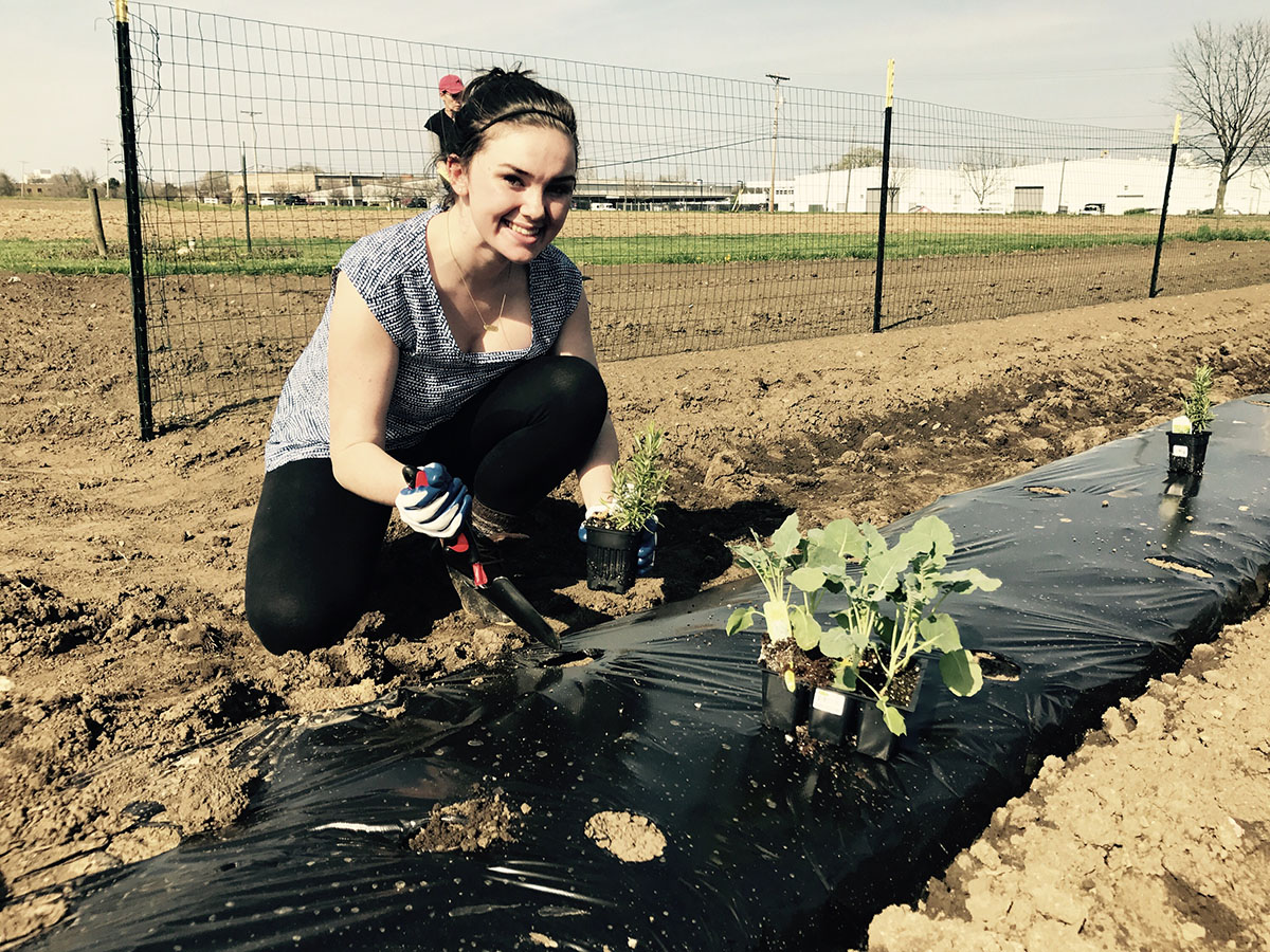 Maggie Griffin, a third-year in social work plants vegetables at Ohio State's Waterman Farm where she plans to grow a community garden to service local families affected by food insecurity. Credit: Courtesy of Maggie Griffin