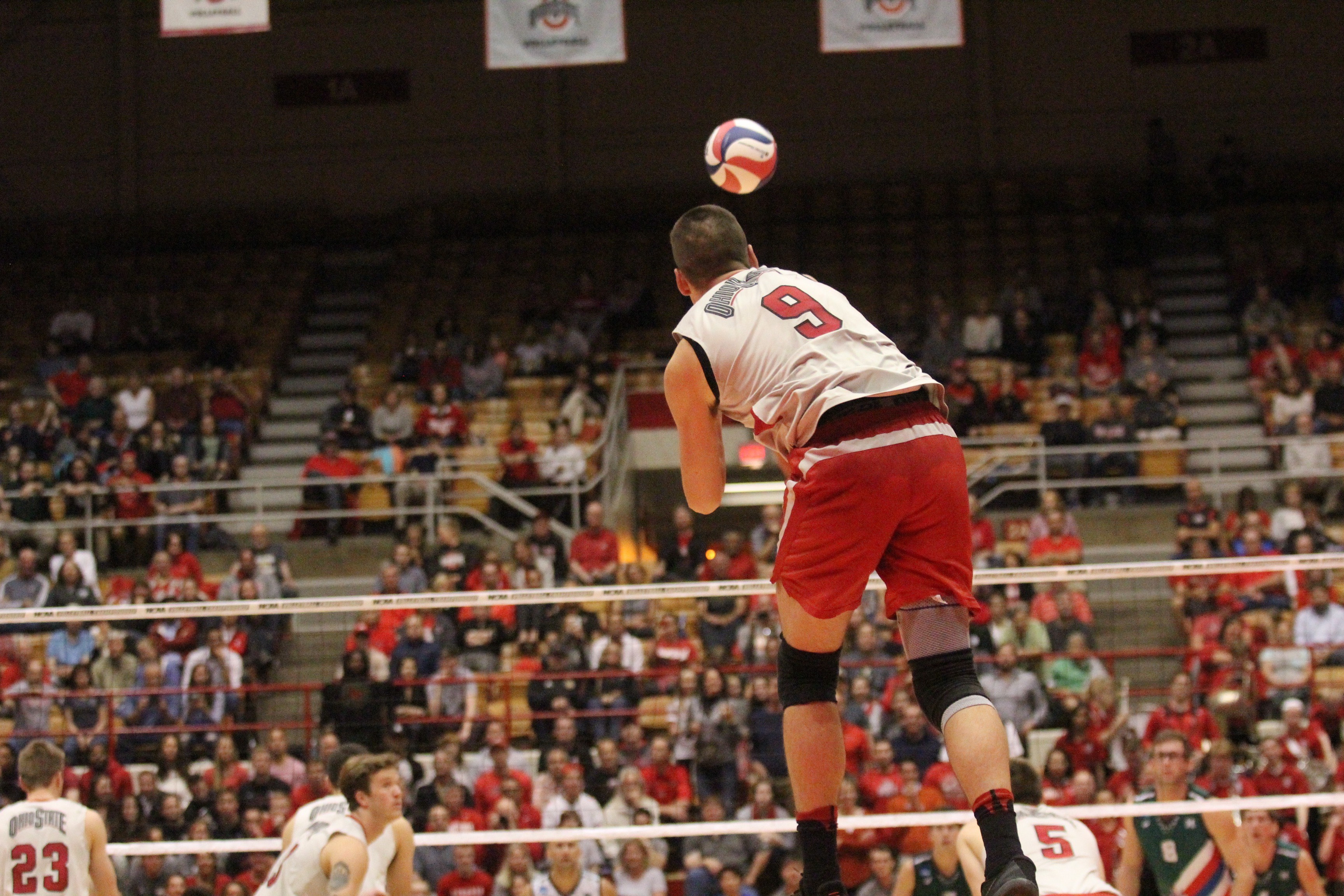 Evan Enriques - Men's Volleyball - Stanford University Athletics