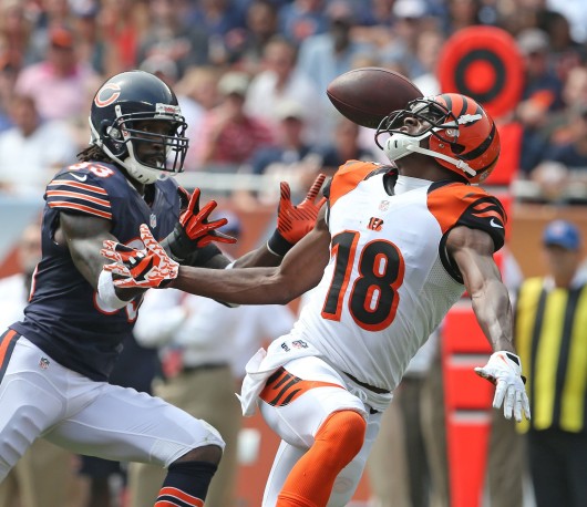 Chicago Bears cornerback Charles Tillman (33) intercepts a ball intended for Cincinnati Bengals wide receiver A.J. Green (18) during the second quarter at Soldier Field in Chicago, Illinois, on Sunday, September 8, 2013. Credit: Courtesy of MCT