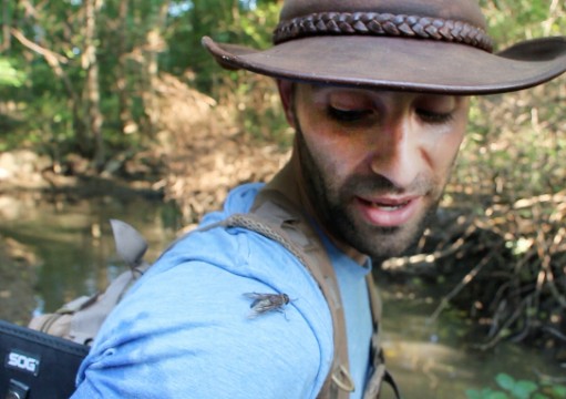Coyote Peterson interacts with a fly. Credit: Chelsea Spears / Multimedia editor