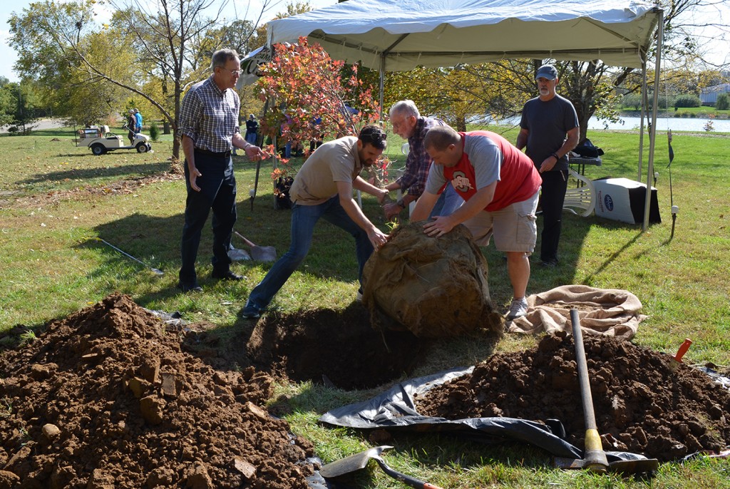 A small group plants a tree at the 2014 ArboBlitz at Chadwick Arboretum North. Credit: Courtesy of Christina Voise