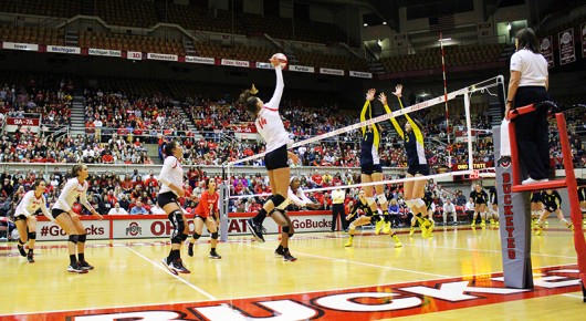 Members of the OSU womens volleyball team during a game against Michigan on Nov. 14. Credit: Giustino Bovenzi | Lantern Photographer 