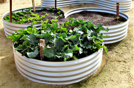 Ohio State’s program allows Vinton County residents to grow fresh food in container gardens and a community garden. Credit: Courtesy of Ohio State