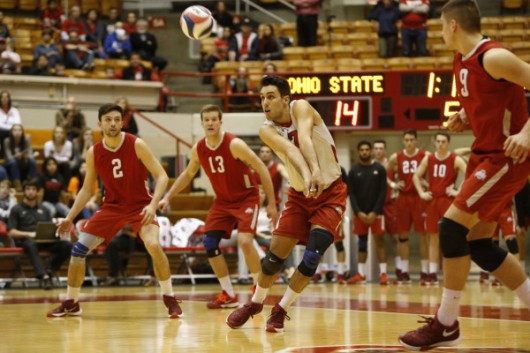 OSU men’s volleyball players during a game against Ball State on Feb. 15 at St. John Arena. Credit: Courtesy of OSU